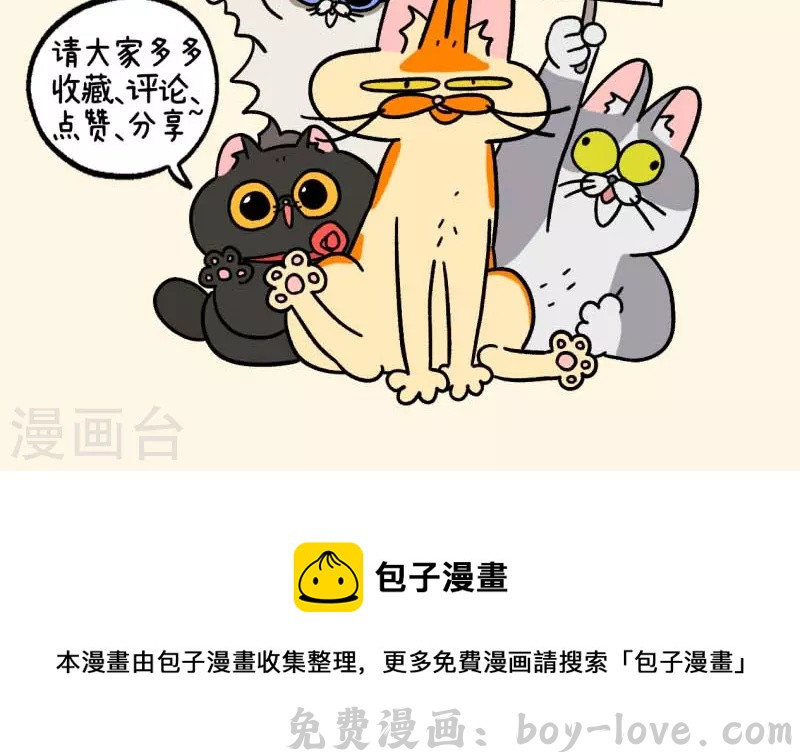 阿满和麦茶 第82话2 猫咪再聚会 预览图